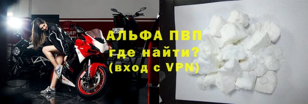 PSILOCYBIN Белокуриха