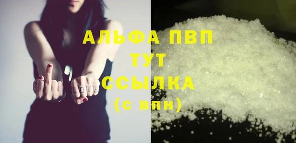 спиды Зеленокумск