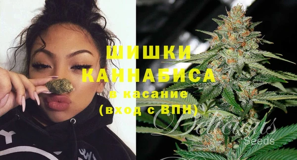 PSILOCYBIN Белокуриха
