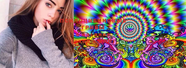 PSILOCYBIN Белокуриха