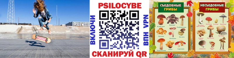 купить наркотики цена  Чухлома  Галлюциногенные грибы мицелий 